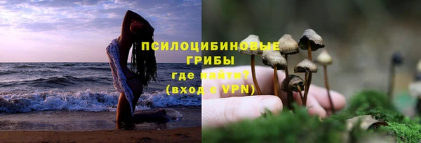 гашик Медногорск