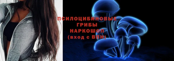 гашик Медногорск