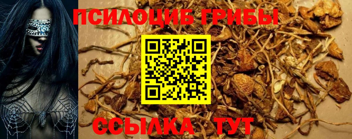 Псилоцибиновые грибы GOLDEN TEACHER Южноуральск