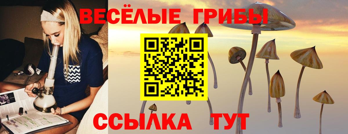 Южноуральск  Псилоцибиновые грибы Psilocybine cubensis  Галлюциногенные грибы GOLDEN TEACHER  Вход с VPN 